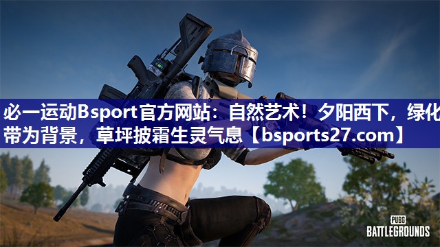 必一运动Bsport官方网站：自然艺术！夕阳西下，绿化带为背景，草坪披霜生灵气息