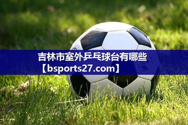 吉林市室外乒乓球台有哪些