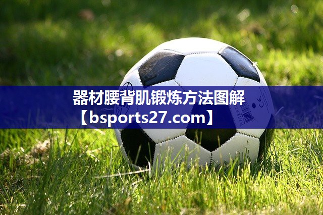 器材腰背肌锻炼方法图解