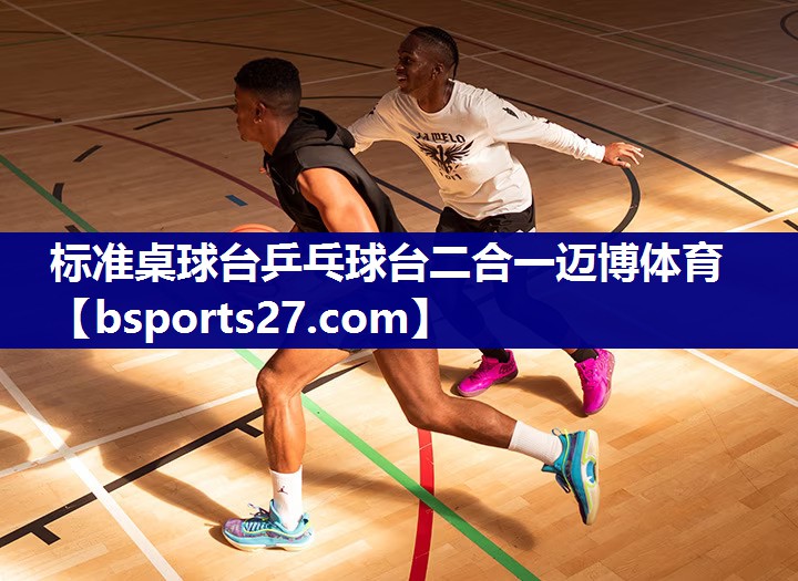 标准桌球台乒乓球台二合一迈博体育