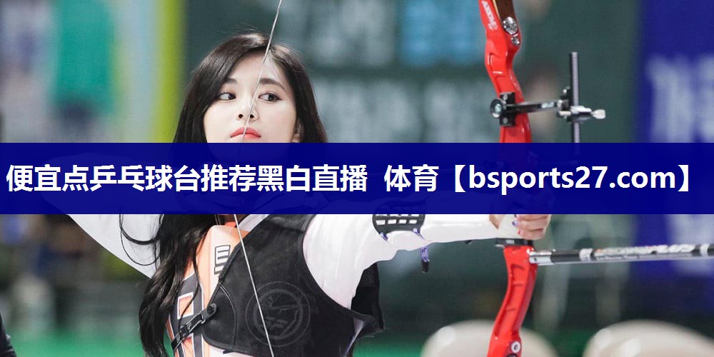 便宜点乒乓球台推荐黑白直播 体育