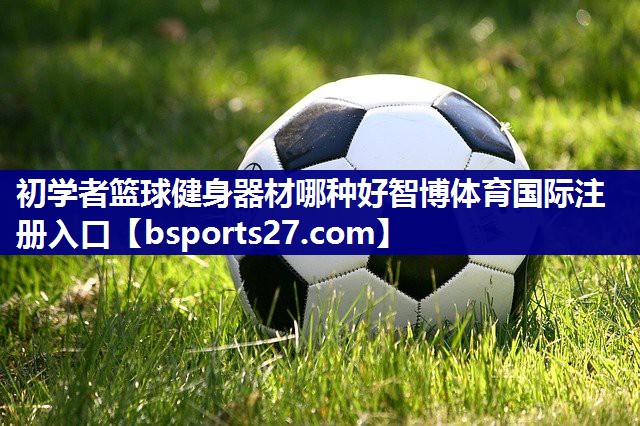 初学者篮球健身器材哪种好智博体育国际注册入口