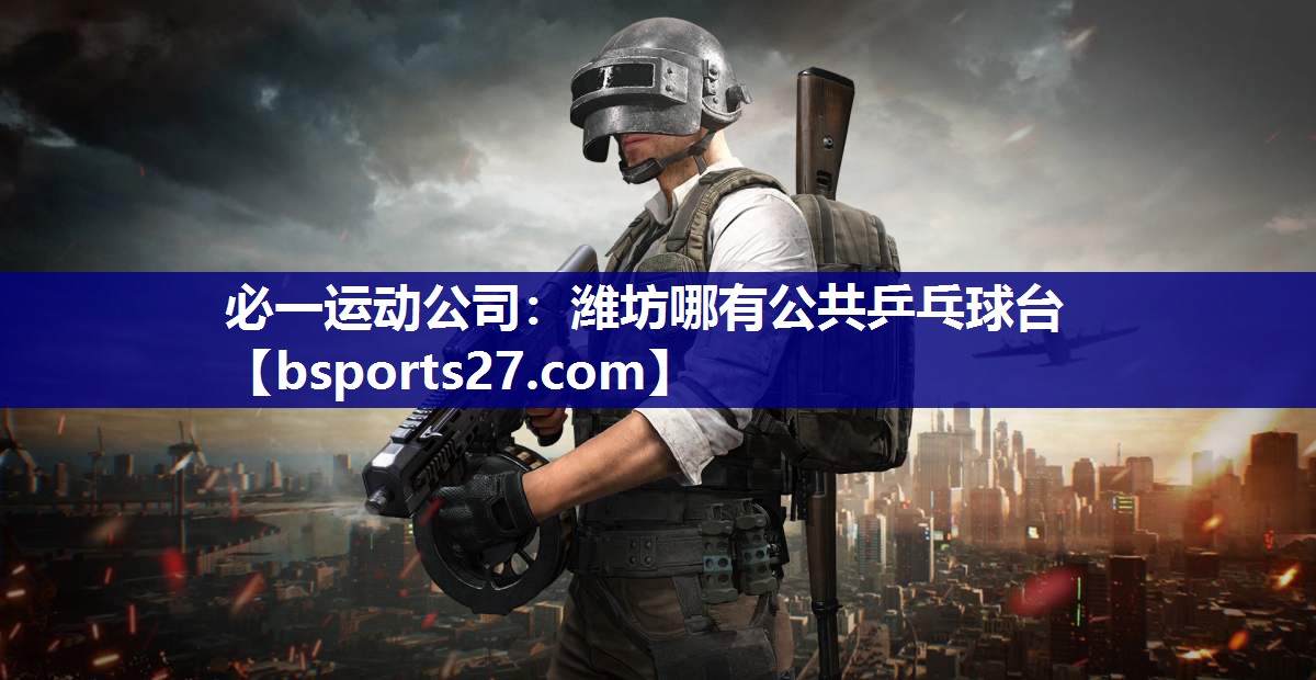潍坊哪有公共乒乓球台