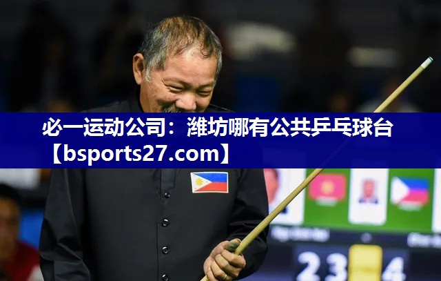 潍坊哪有公共乒乓球台