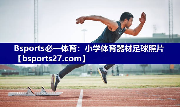 小学体育器材足球照片