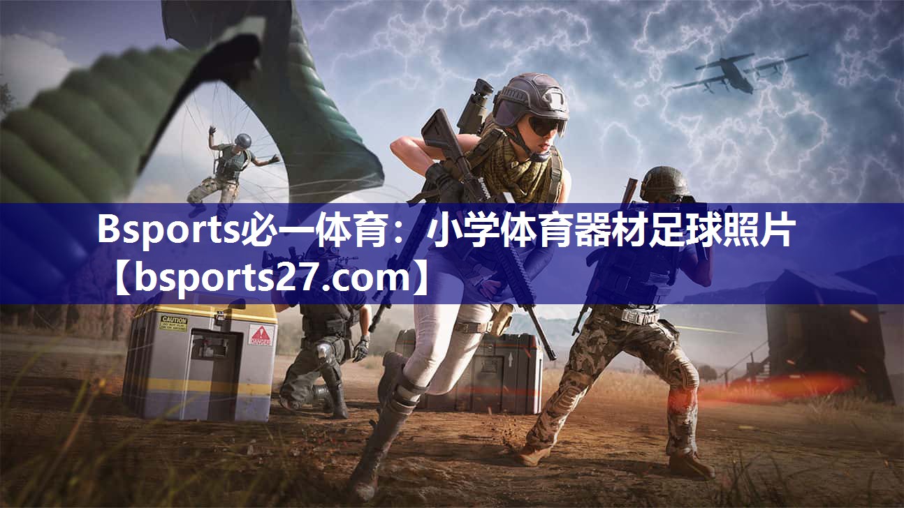 小学体育器材足球照片