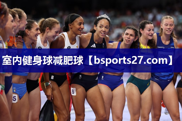 室内健身球减肥球