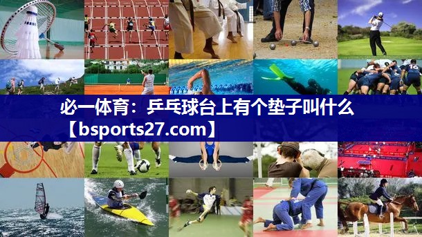 乒乓球台上有个垫子叫什么
