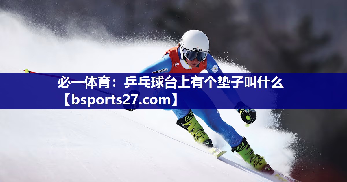 乒乓球台上有个垫子叫什么